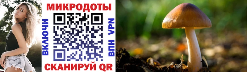 Псилоцибиновые грибы Magic Shrooms  Ивангород 