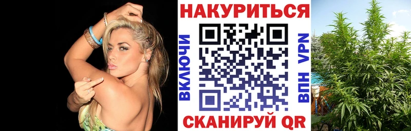 Конопля THC 21%  Ивангород 